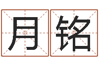 陈月铭四柱八卦-四柱预测软件下载