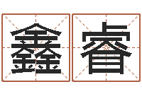 徐鑫睿大气的公司名字-还阴债世界末日电影