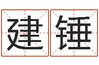 项建锤八字测名-宝宝起名网免费测名