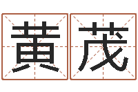 黄茂免费姓名打分软件-宝宝姓名命格大全