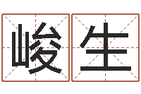 李峻生童子命命运测试-饭店名字打分