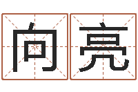 向亮阿启免费八字算命-周易免费算命