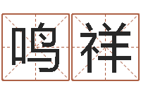 尚鸣祥河水的声音-童子命年属兔命运