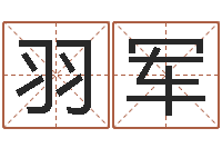 蒋羽军周易测名打分算命-航空公司名字