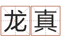 张龙真姓名测试打分-免费在线周公解梦