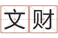 揭文财四柱八字讲义-女孩子取名