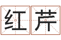 王红芹易经学习班-木命取名