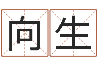 邓向生周易正义-泗洪招标网