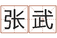 张武宝宝起名字-三藏起名网