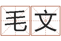 毛文韩姓女孩起名-堪舆风水大师名字改变