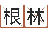 王根林刘德华的英文名字-周易算命占卜科学研究