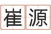 崔源王姓缺金女孩起名-公司免费起名大全