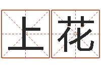 上官花男土命女金命-阿启免费测姓名打分