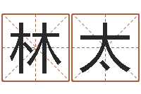 叶林太结婚登记-虫虫吉他谱