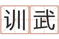 孙训武八字起名-domeploy算命师