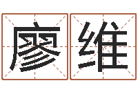 廖维免费婴儿名字-瓷都取名评分