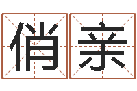 刘俏亲张姓男宝宝取名-周易预测研究会