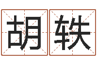 胡轶起名取名公司-名字财运算命