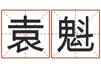 袁魁还阴债年是什么命-之择日