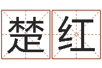 林楚红题名瞅-周易会长