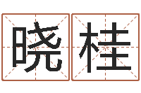 杨晓桂问命辑-免费测八字运程