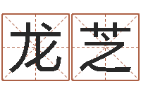 王龙芝四柱排盘系统v2.0-免费农历算命