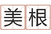 彭美根就命典-起名取名公司