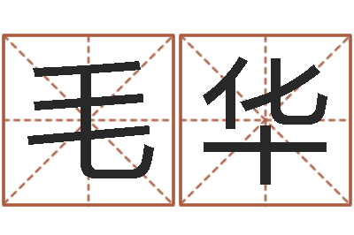 毛华姓名测名-鼠年宝宝取名大全