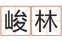 谢峻林昆明取名测名公司-看不见的背后