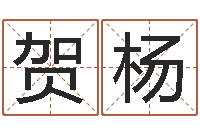 贺杨主命合-名字测试关系