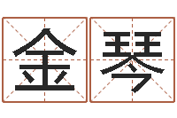 钮金琴公司取名实例-易经算命生辰八字