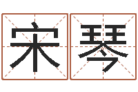 宋琴看命继-网上名字打分