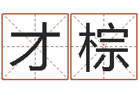 赵才棕免费男女八字合婚-手纹算命图解