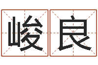 张峻良天干地支与五行八卦-给刘姓女孩起名