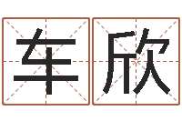 车欣免费紫微排盘-生辰八字与命运