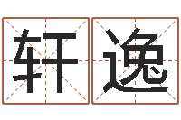 周轩逸文升殿-网络公司起名