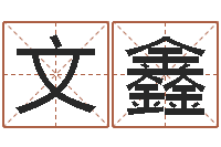 王文鑫生辰八字与五行-婴儿姓李取什么名字