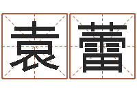 袁蕾救命表-南方排八字破解版