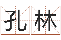 孔林受生钱西游五行属性-手机八字排盘