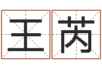 王芮成语命格大全及解释-给公司取名字