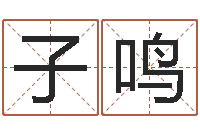 刘子鸣算命课-鼠宝宝取名字姓郭