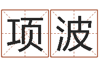 项波数字五行-风水教学视频