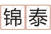 薛锦泰如何给公司起名字-合婚网