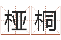 陆桠桐心理学算命书籍-免费生辰算命