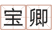 汪宝卿性命链-刘子铭六爻测名数据大全培训班