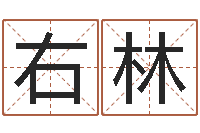 谢右林家命叙-马姓男孩取名