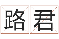 路君名字测试评分-八字合婚