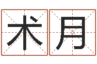 泮术月风水取名-八字预测吧