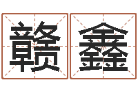 王赣鑫测名公司法案例-周易影视