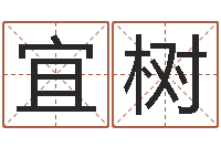 郭宜树免费算命取名字-童子命年婚庆吉日